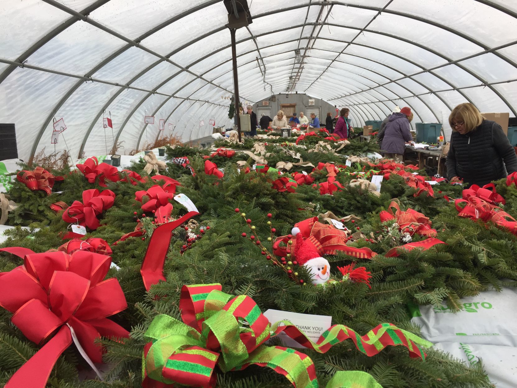 Scene Setter -- Manchester Garden Club